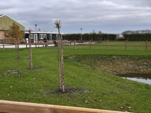 boerderijcamping De Boskreek in Breskens, Zeeuws-Vlaanderen